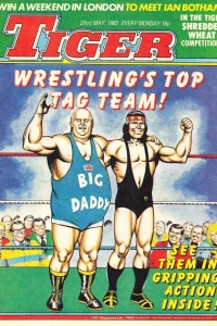 Issue #19820522