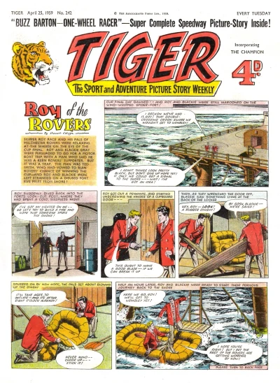 Cover of Issue #242