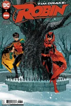Tim Drake: Robin