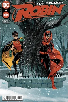 Tim Drake: Robin