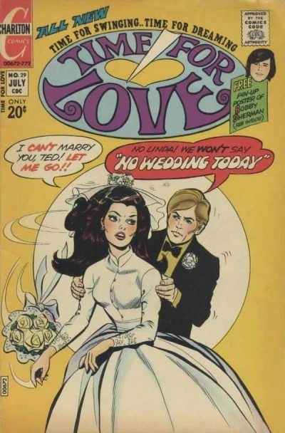 Cover of Issue #29