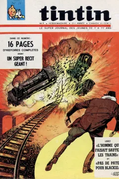 Issue #196619