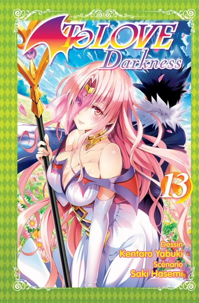 Cover of Tome 13