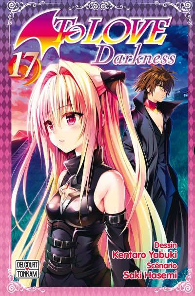 Cover of Tome 17