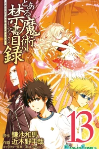 Vol. 13