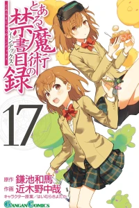 Vol. 17