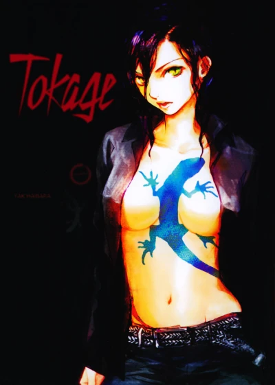 Cover of Volume 1