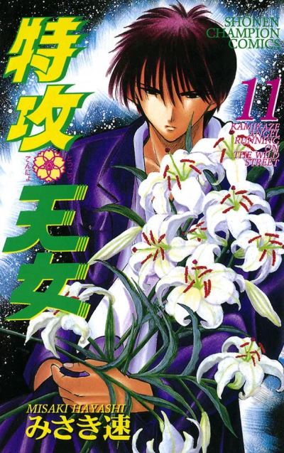 Cover of Vol. 11