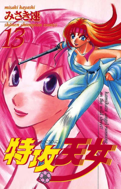 Cover of Vol. 13