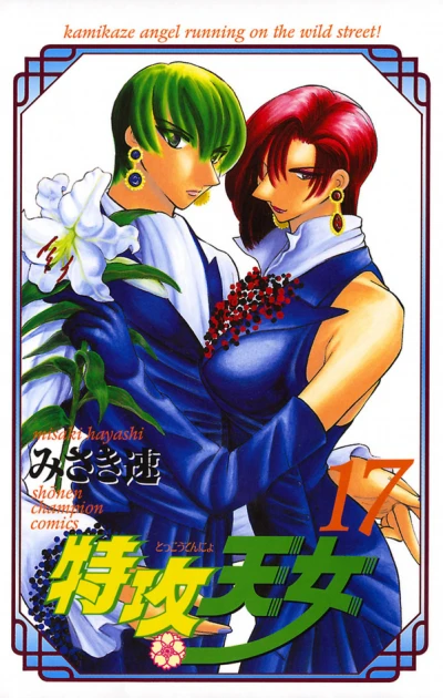 Cover of Vol. 17