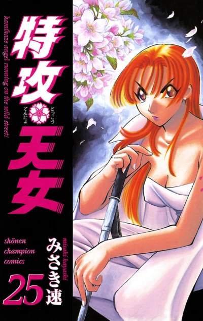 Cover of Vol. 25