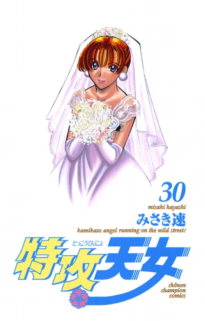 Cover of Vol. 30