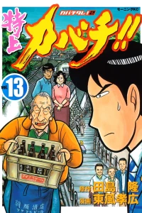 Vol. 13