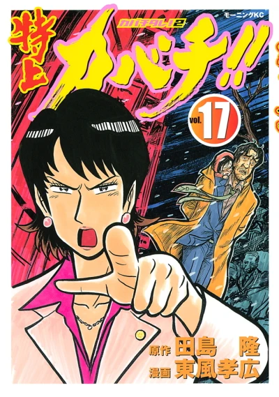 Cover of Vol. 17