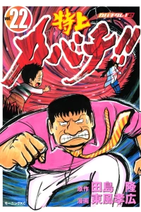 Vol. 22