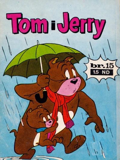 Cover of Issue #15