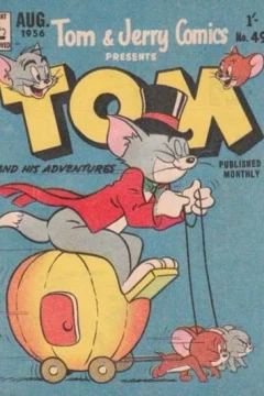 Tom and His Adventures