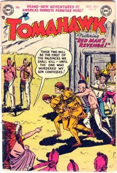 Cover of Issue #19