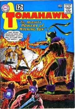 Cover of Issue #80