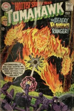 The Deadly Flaming Ranger