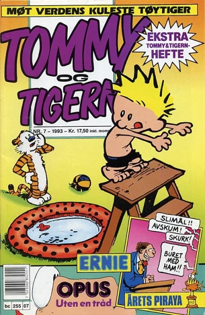 Cover of Issue #199307