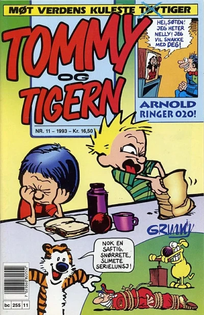 Cover of Issue #199311