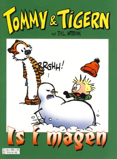Cover of Is i magen