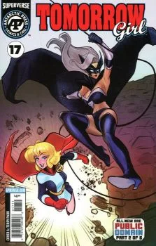 Cover of Issue #17