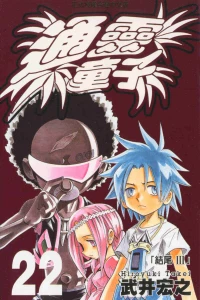 Vol. 22