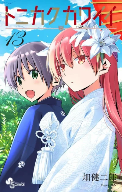 Cover of Vol. 13