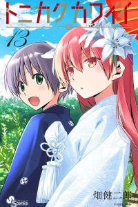 Vol. 13