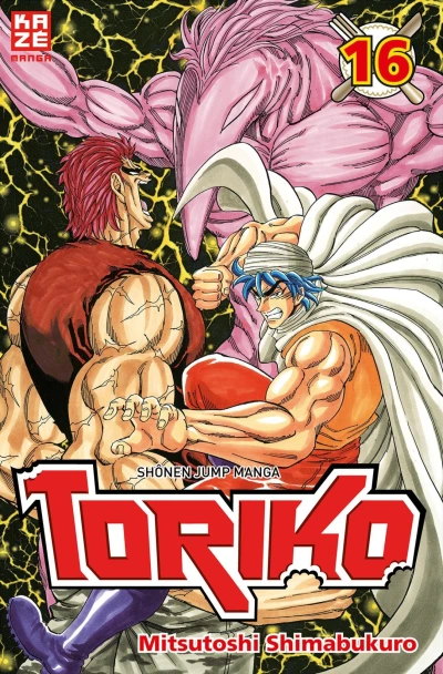 Cover of Tome 16