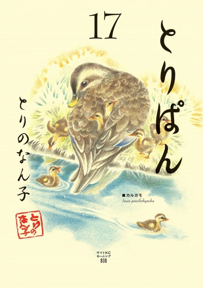 Cover of Vol. 17