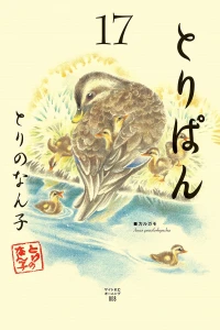 Vol. 17