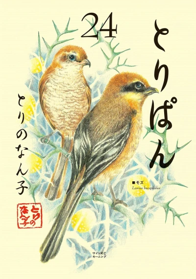 Cover of Vol. 24