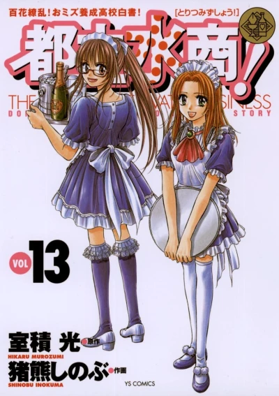 Cover of Vol. 13