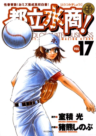 Cover of Vol. 17