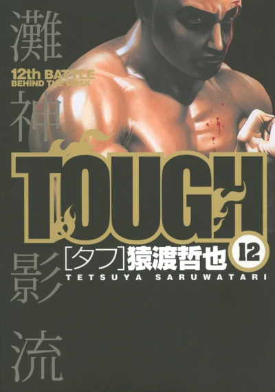 Cover of 12th Battle: Behind The Mask