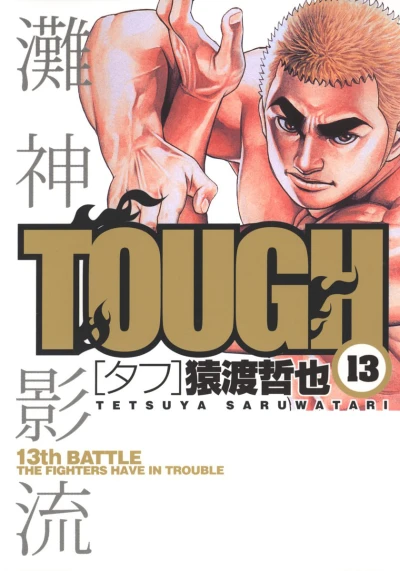 Cover of 13th Battle: The Fighters Have In Trouble