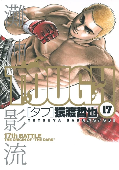 Cover of 17th Battle: The Origin of "The Dark"