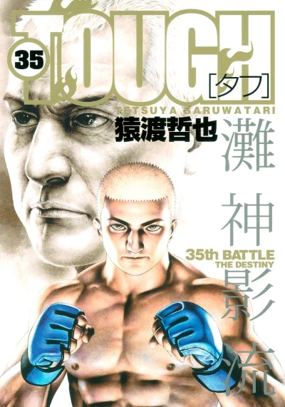 Cover of 35th Battle: The Destiny