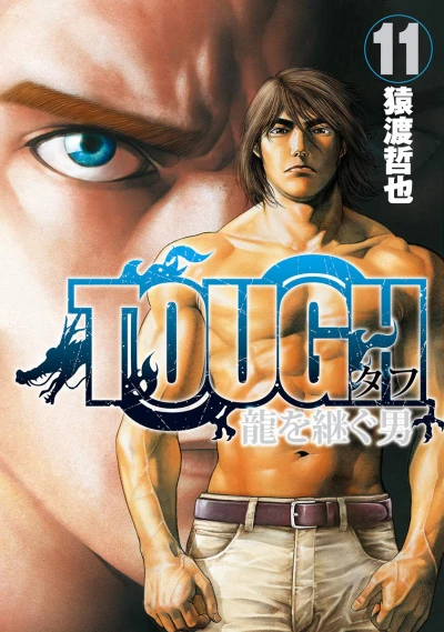 Cover of Vol. 11