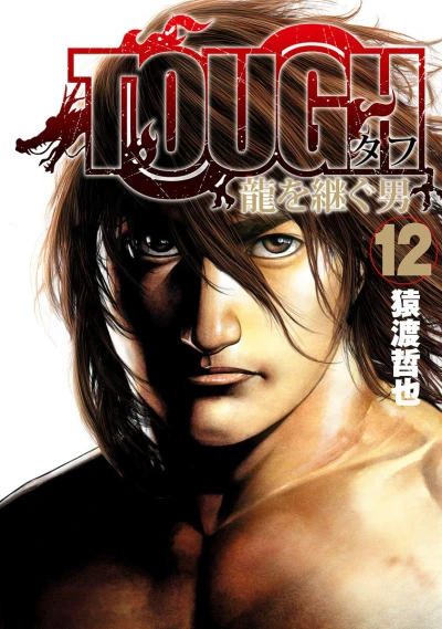Cover of Vol. 12