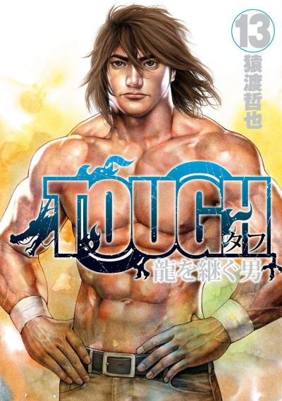 Cover of Vol. 13