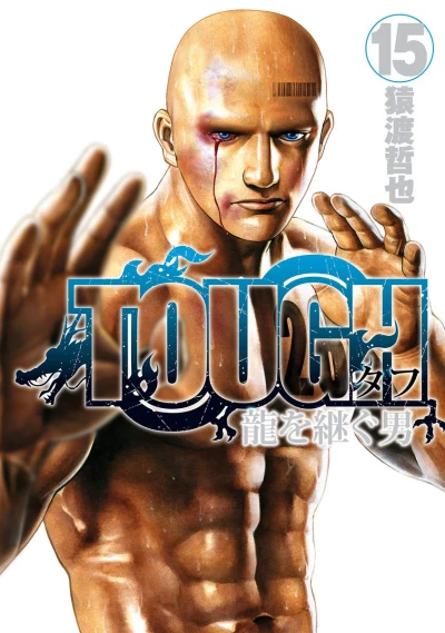 Cover of Vol. 15