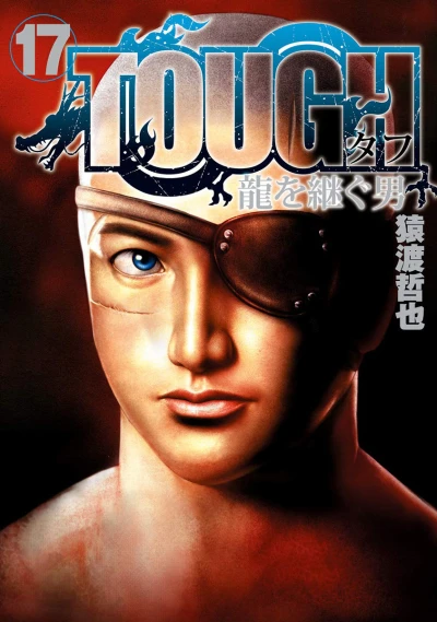 Cover of Vol. 17