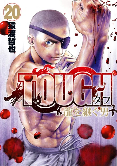 Cover of Vol. 20