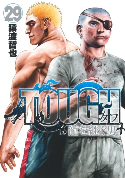 Cover of Vol. 29