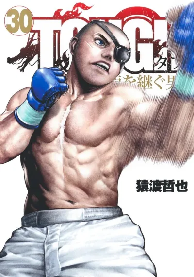 Cover of Vol. 30