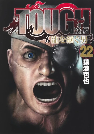 Cover of Vol. 22